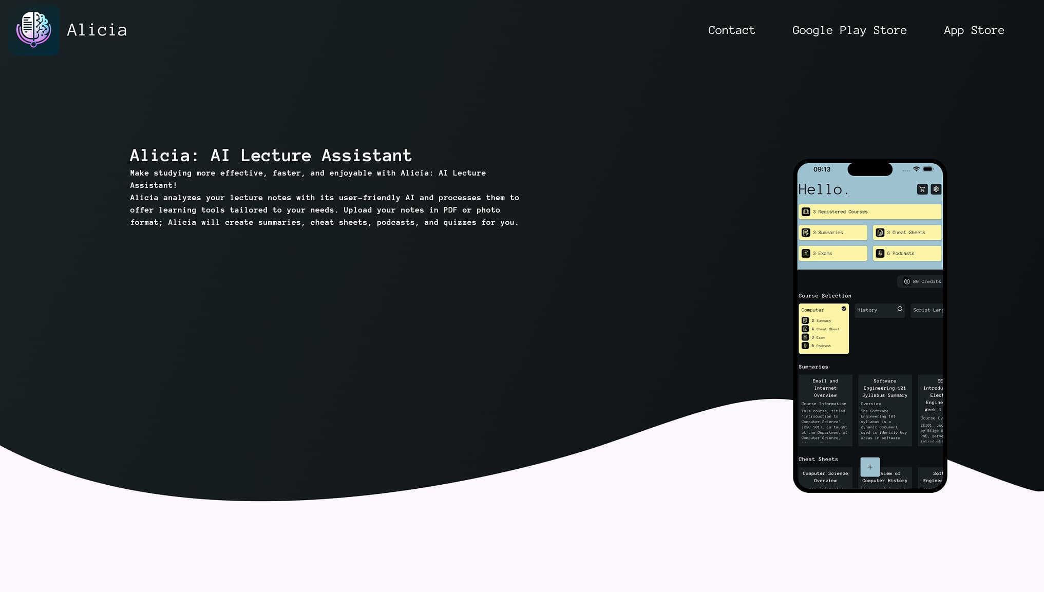 Web screenshot