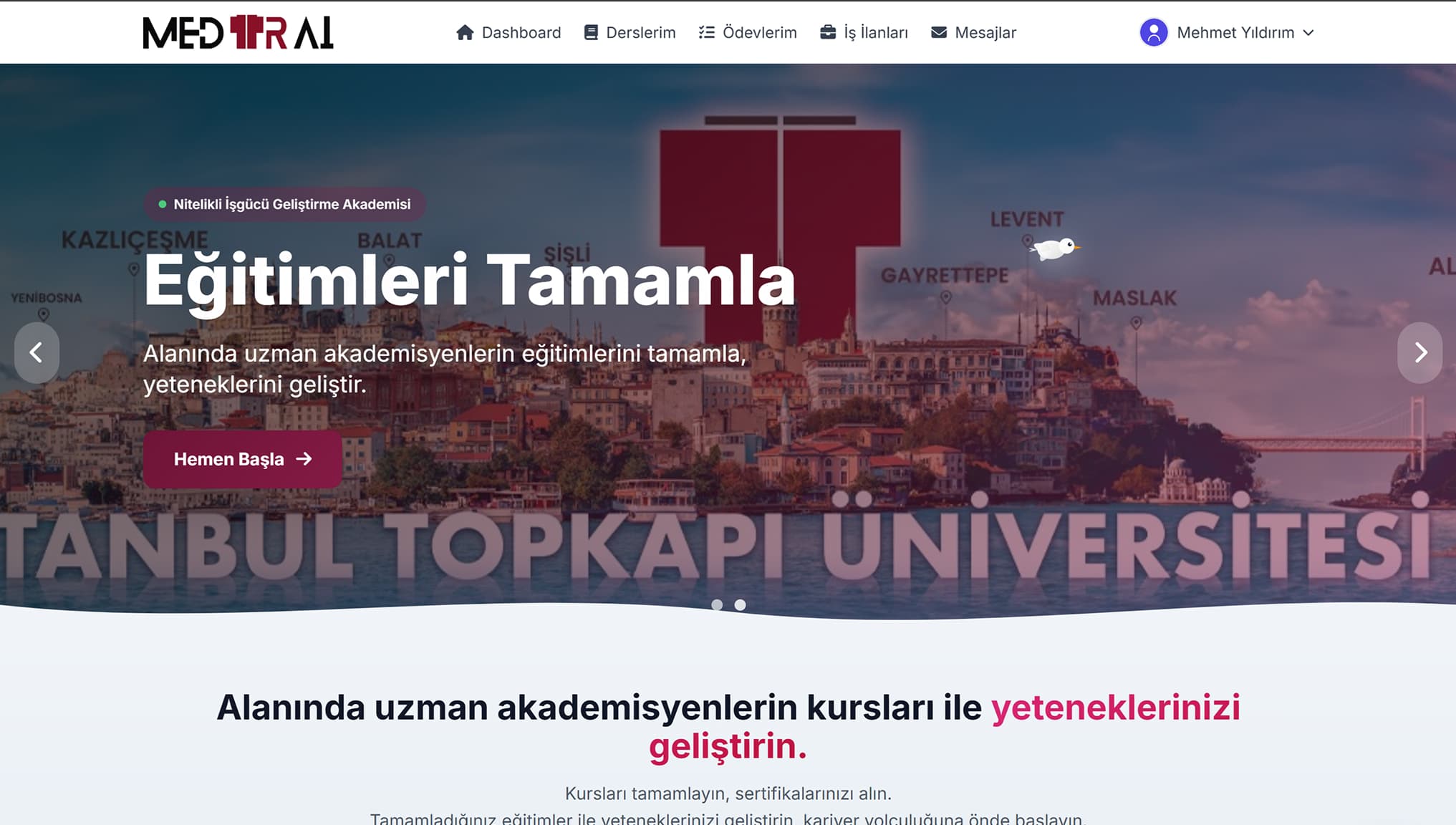Web screenshot